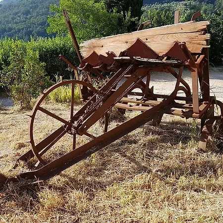 Agriturismo Dauphine * Баньо-а-Риполи