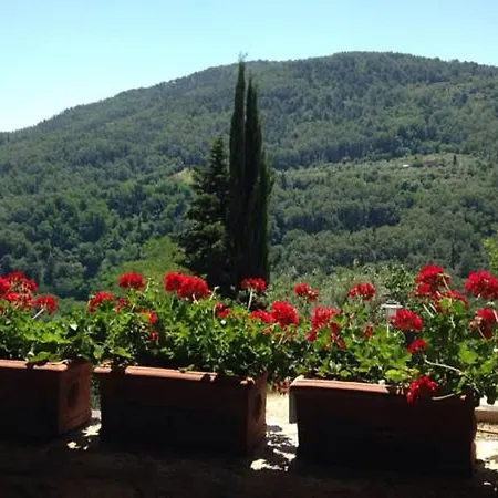 Фермерский дом Agriturismo Dauphine Баньо-а-Риполи